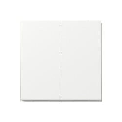 Gira Wippe 349566 2f gerade TX44 rws