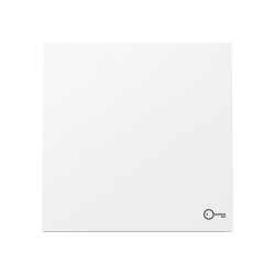 Gira Wippe 328770 Sym.Tür FL RW