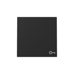 Gira Wippe 3287005 Symb.Tür Sys.55 sw m