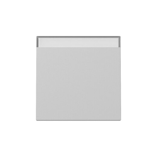 Gira Wippe 3299015 BSF Sys.55 gr m