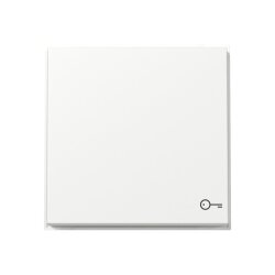 Gira Wippe 328766 Symb.Tür TX44 WG UP rws