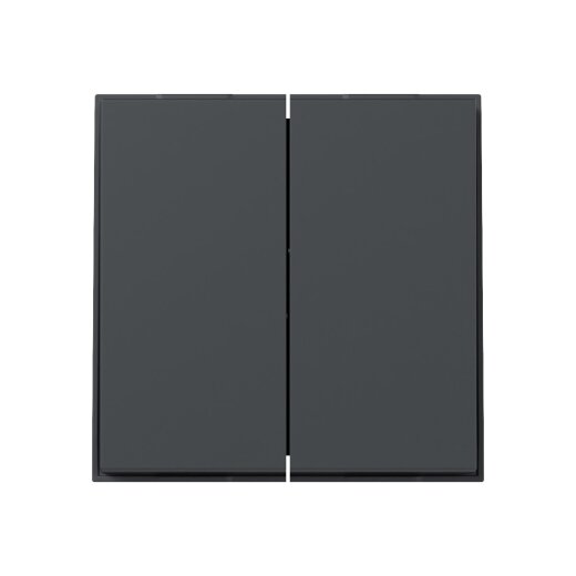 Gira Wippe 349567 2f gerade TX44 anthr