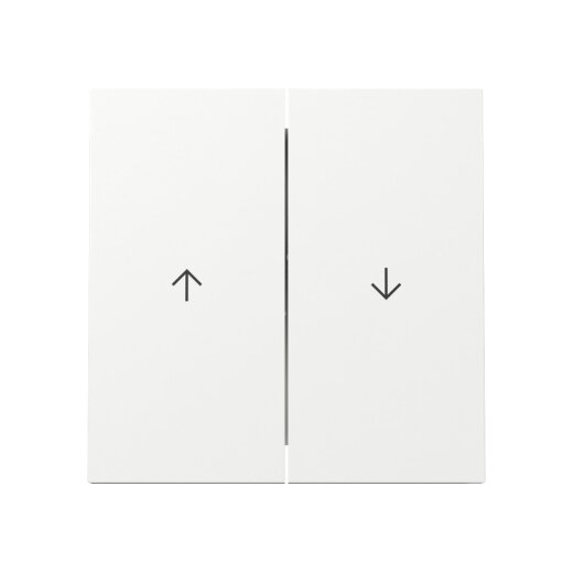 Gira Wippe 329470 2f Pfeil FL RW