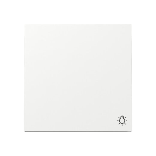 Gira Wippe 328570 Sym.Licht FL RW