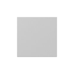 Gira Wippe 3496015 gerade Sys.55 gr m