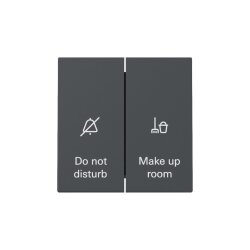 Gira Wippschalter 310428 Anzeige Hotelzimmer Sys.55 anthr