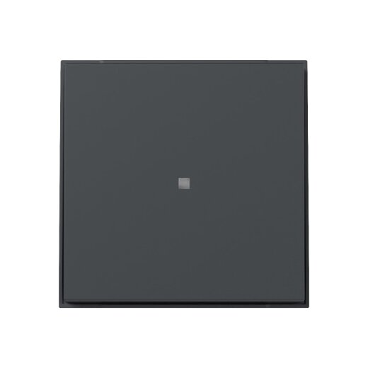 Gira Wippe 349067 gerade Kontrollf.TX44 anthr