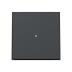 Gira Wippe 349067 gerade Kontrollf.TX44 anthr