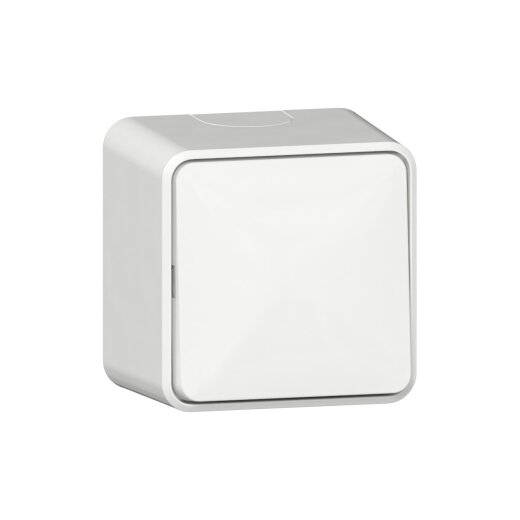 Gira Wippschalter 310613 AusWe AP rws