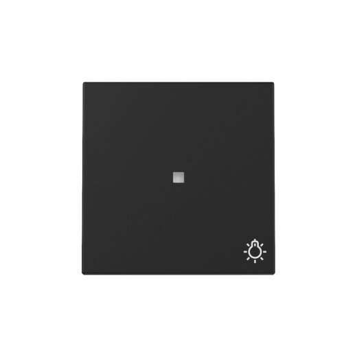 Gira Wippe Kontrollf.+Symb.Licht Sys.55 sw m