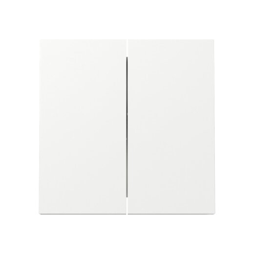 Gira Wippe 329570 2f FL RW