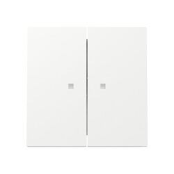 Gira Wippe 363170 2f KF FL RW