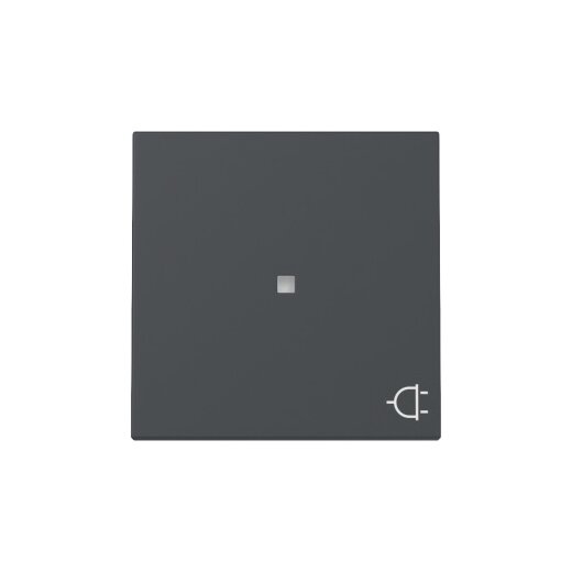 Gira Wippe Kontrollf.+Symb.Steckd.Sys.55 anthr