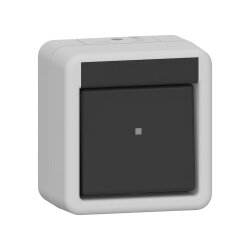 Gira Wippschalter 310730 Kreuz WG AP gr