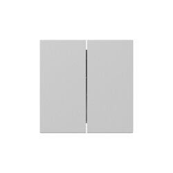 Gira Wippe 3495015 2f gerade Sys.55 gr m