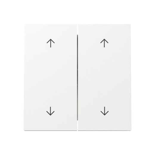 Gira Wippe 329770 2f Pfeile FL RW