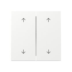 Gira Wippe 329770 2f Pfeile FL RW