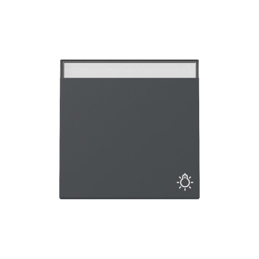 Gira Wippe 367328 Symb.Klingel+BSF Sys.55 anthr