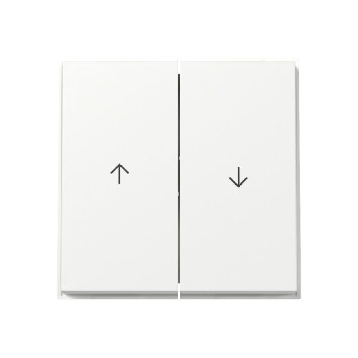 Gira Wippe 329466 2f Pfeil TX44 WG UP rws