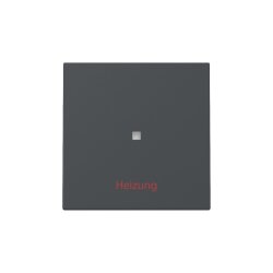 Gira Wippe Kontrollf.+Heizung Ein/Aus Sys.55 anthr