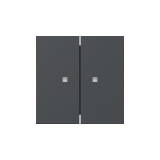 Gira Wippe 363128 2f Kontrollf.Sys.55 anthr