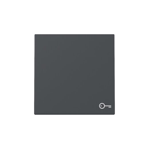 Gira Wippe 328728 Symb.Tür Sys.55 anthr