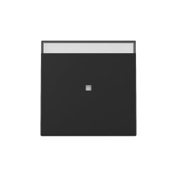 Gira Wippe 3670005 Kontrollf.+BSF Sys.55 sw m