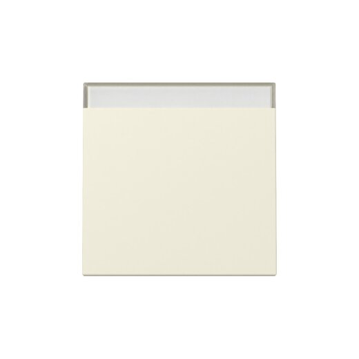 Gira Wippe 329901 BSF Sys.55 cws