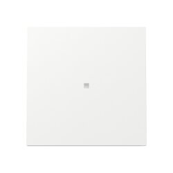 Gira Wippe 329070 KF FL RW