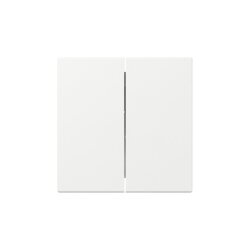 Gira Wippe 349503 2f gerade Sys.55 rws