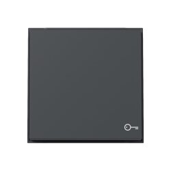 Gira Wippe 328767 Symb.Tür TX44 WG UP anthr