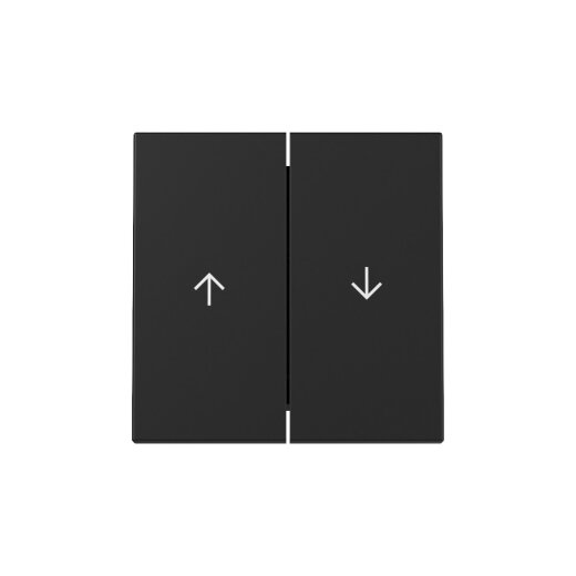 Gira Wippe 3294005 2f Pfeil Sys.55 sw m