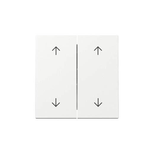 Gira Wippe 329703 2f Pfeile Sys.55 rws