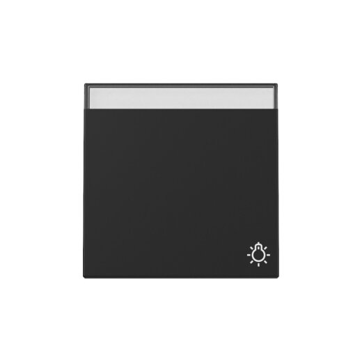 Gira Wippe 3673005 Symb.Klingel+BSF Sys.55 sw m