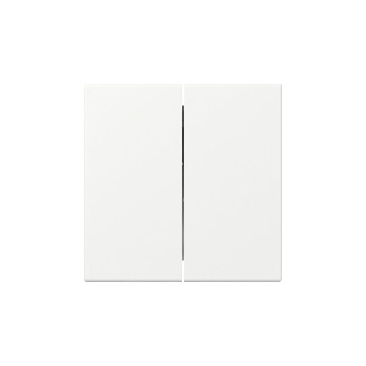 Gira Wippe 349527 2f gerade Sys.55 rws m