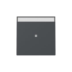 Gira Wippe 367028 Kontrollf.+BSF Sys.55 anthr