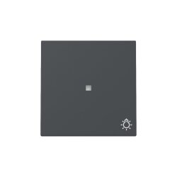 Gira Wippe Kontrollf.+Symb.Licht Sys.55 anthr