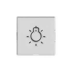 Gira Wippe BSF+Symb.Licht groß tastbar Sys.55 nt