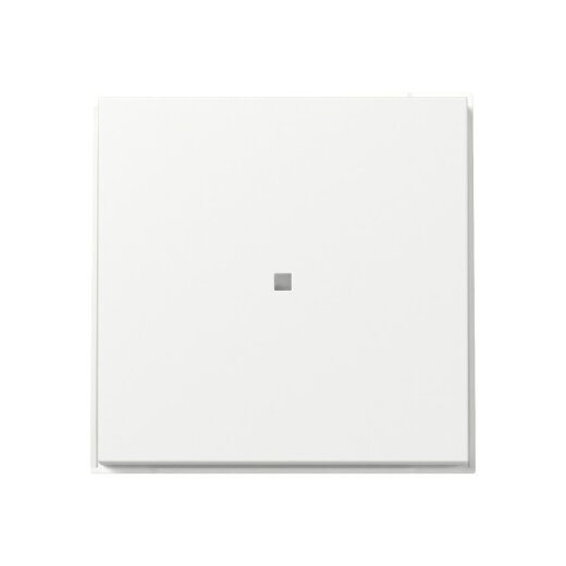 Gira Wippe 349066 gerade Kontrollf.TX44 rws