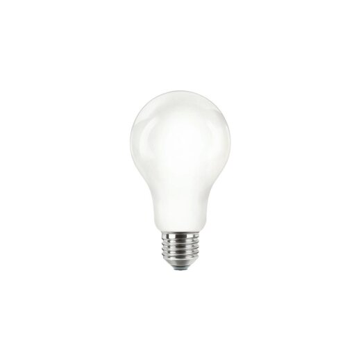 Philips LED Leuchtmittel CorePro LEDBulbND 120W E27 A67 840 FR G