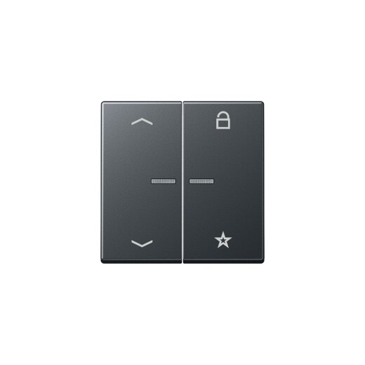 Jung Steuertaste FMA1701BFPANM eNet Funk