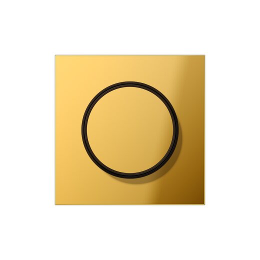 Jung Abdeckung GO1740 mit Drehknopf