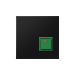 Jung Abstelltaster NRSLS0834ATSWM