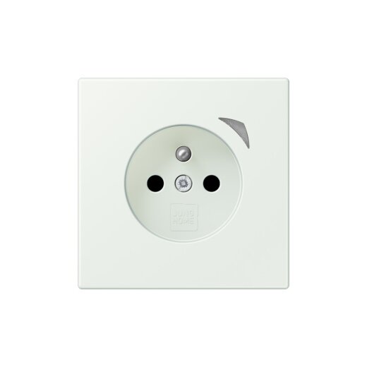 Jung Steckdose BTLC1521FS210 HOME franz belg