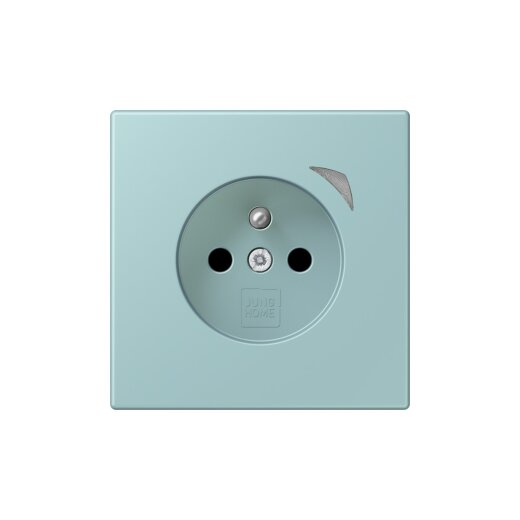 Jung Steckdose BTLC1521FS214 HOME franz belg