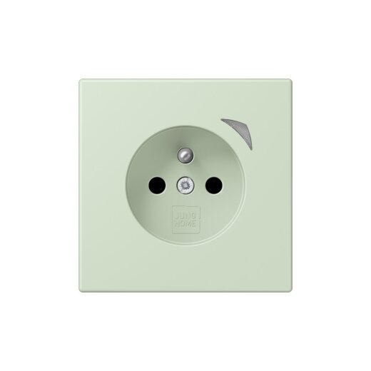 Jung Steckdose BTLC1521FS218 HOME franz belg
