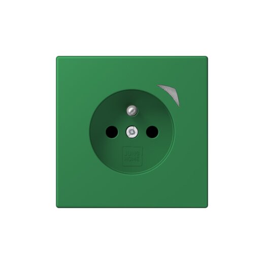 Jung Steckdose BTLC1521FS219 HOME franz belg