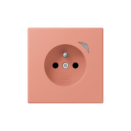 Jung Steckdose BTLC1521FS233 HOME franz belg