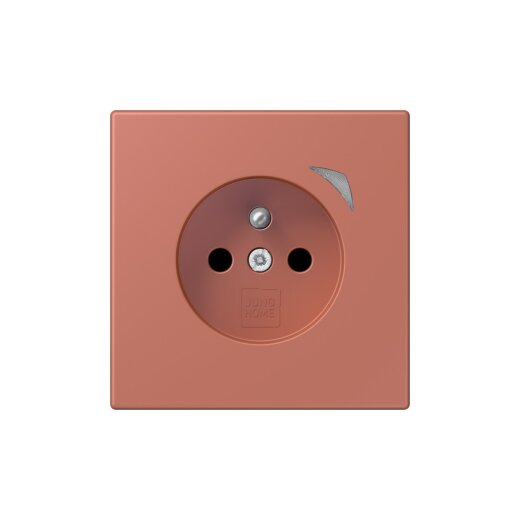 Jung Steckdose BTLC1521FS236 HOME franz belg