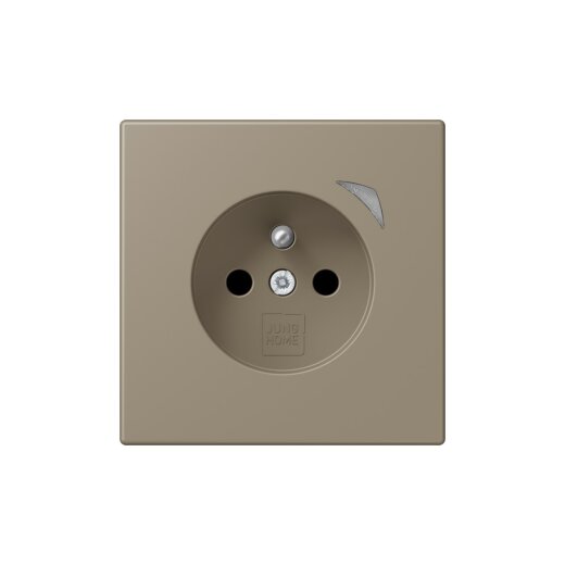 Jung Steckdose BTLC1521FS242 HOME franz belg